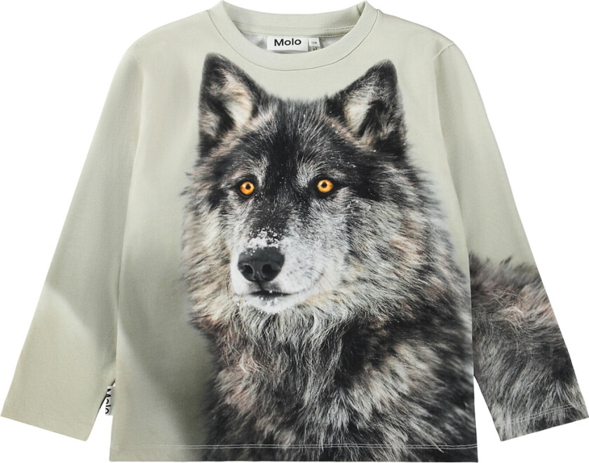 Genser - Rollo - To ulver - - 4 år (104) - Genser