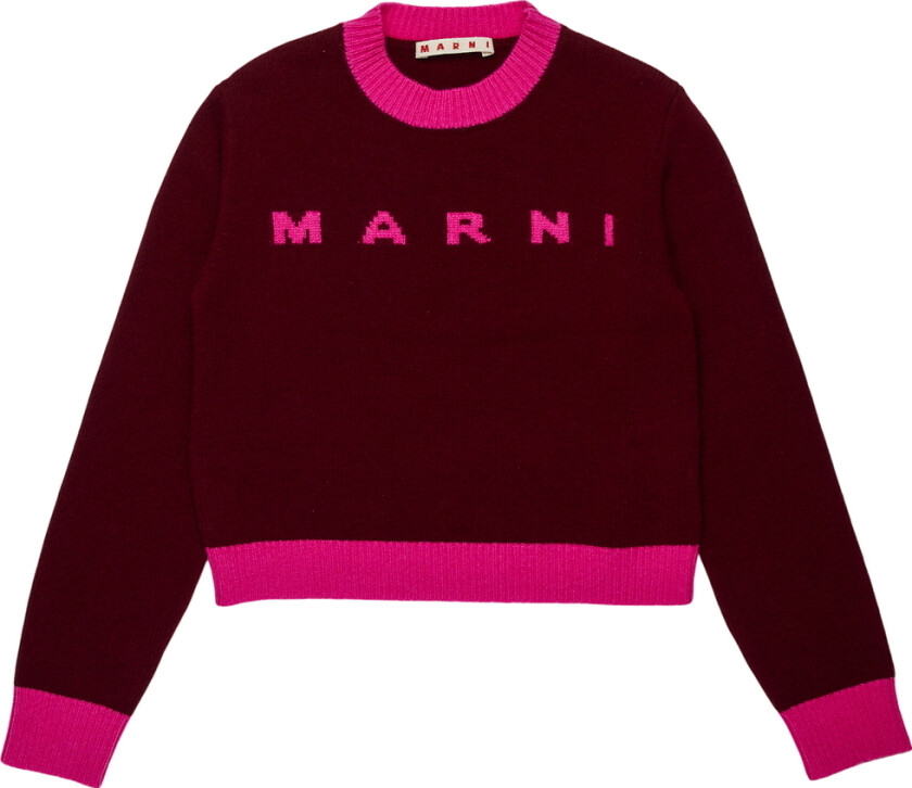 Genser - Beskåret - Ull - Berry Syltetøy - - 8 år (128) - Genser