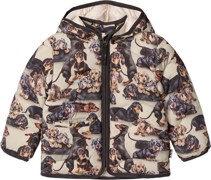 Polstret Jakke - Harmony - Dachshund Soft - - 2 år (92) - Dunjakke