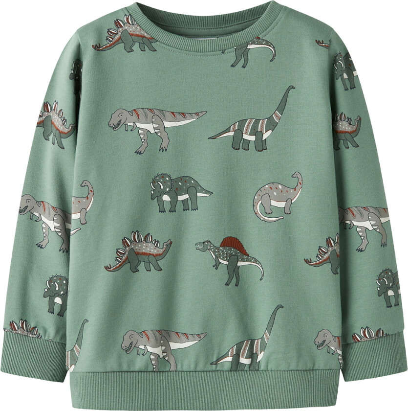 Collegegenser - NmmNenean - Green Bay - - 2 år (92) - Collegegenser