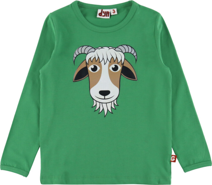 Cph Genser - Brøl - Soft Green Geit - - 4 år (104) - Genser