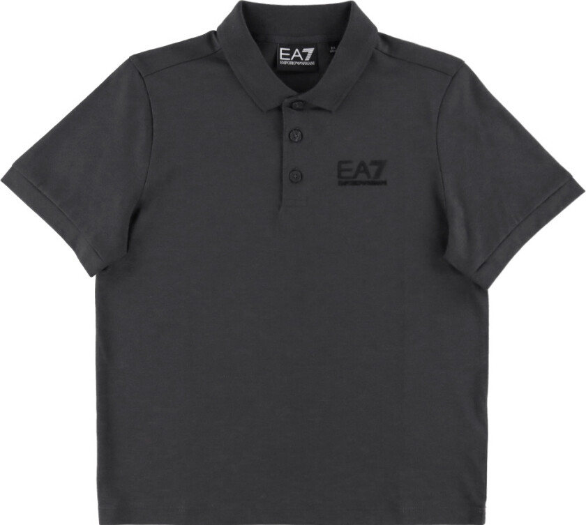 Polo - Asfalt - - 14 år (164) - Polo