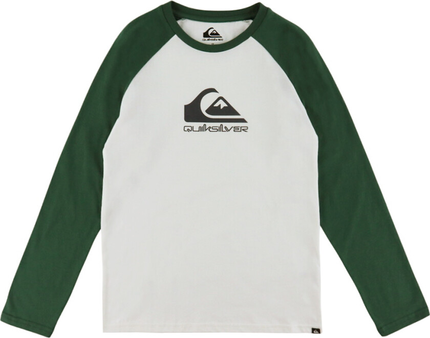 Genser - EV Omni Logo Raglan - Snow White - - 16 år (176) - Genser