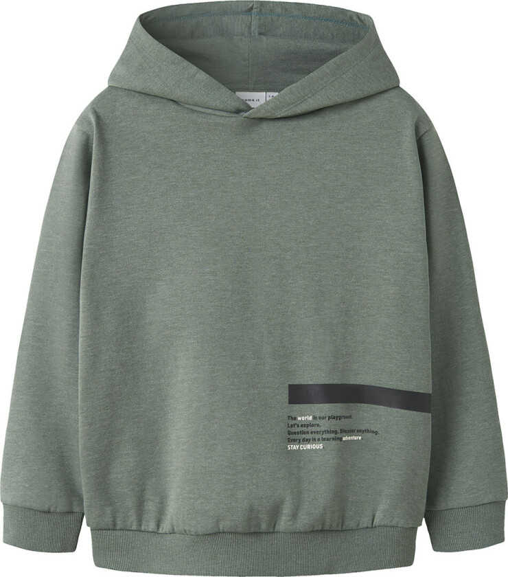 Hettegenser - NkmOlaf - Laurbærkrans - - 6 år (116) - Hettegenser