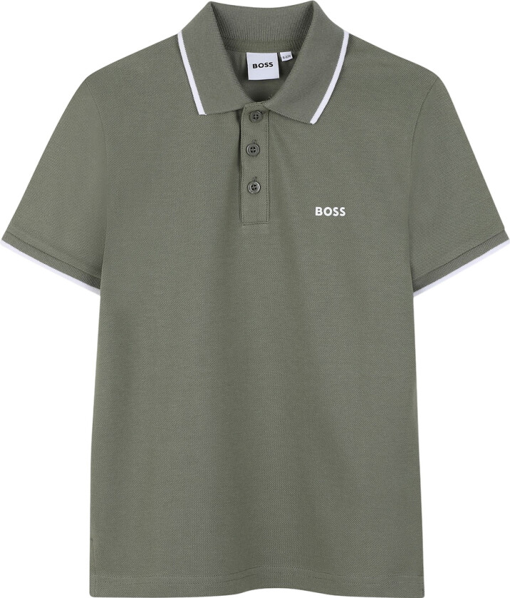 Polo - Støvet Grønn m. Hvit - - 10 år (140) - Polo