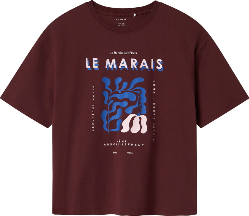 T-skjorte - NkfOrid - Sassafras - - 9-10 år (134-140) - T-skjorte