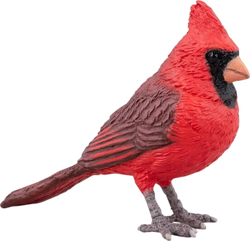 Nordkardinal - 5,5 cm - - OneSize - Lekedyr
