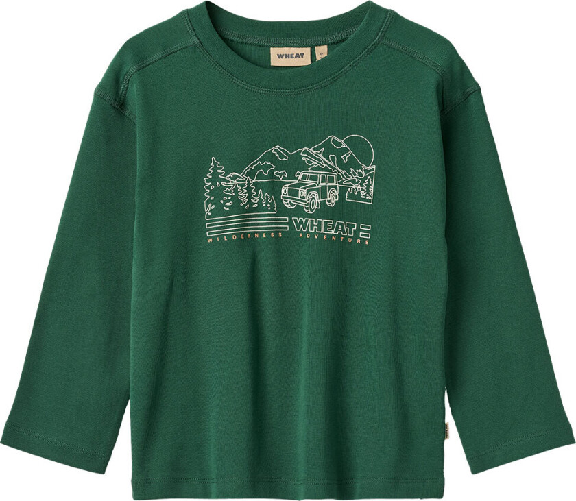 Genser - Holger - Grønnkål - - 6 år (116) - Genser