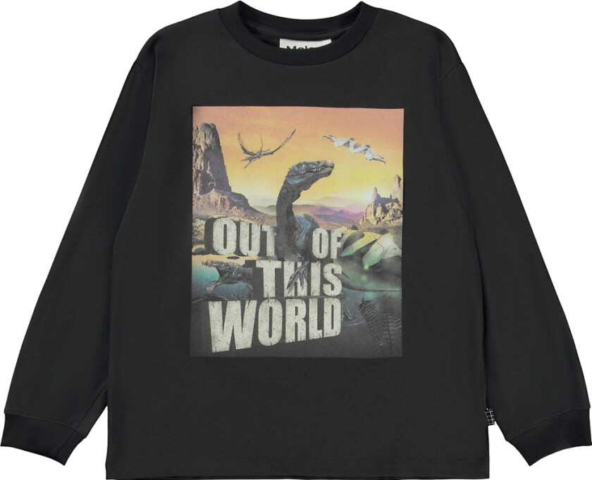 Genser - Rube - Merkelig verden - - 6 år (116) - Genser