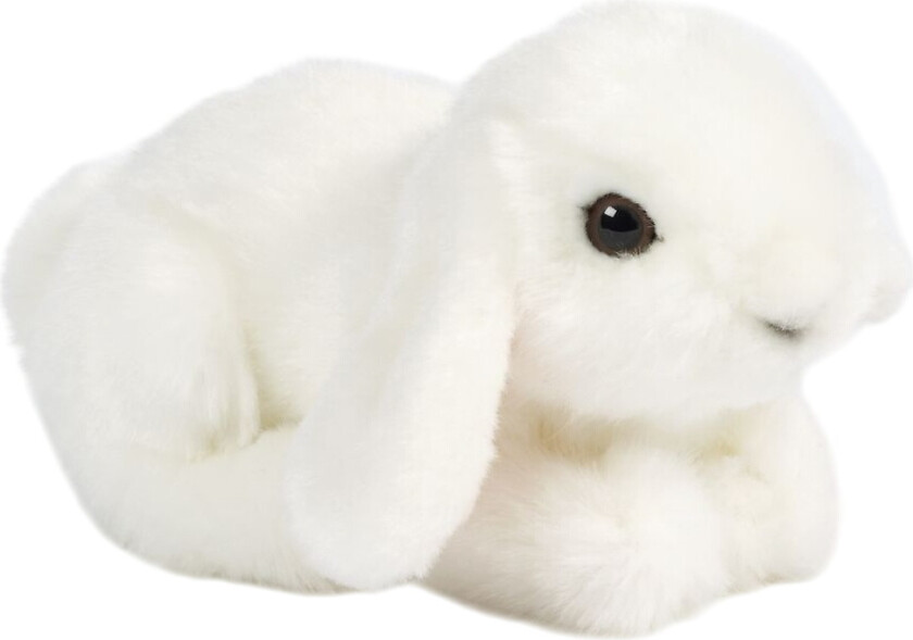 Kosedyr - 18x10 cm - Kanin - Hvit - - OneSize - Kosedyr