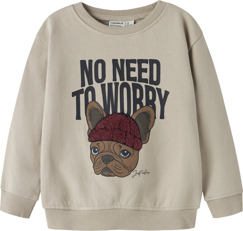 Collegegenser - NmmRiguna - Islandsk fossil - - 6 år (116) - Collegegenser