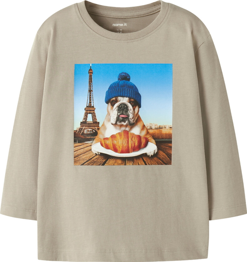 Genser - NmmVoto - Islandsk fossil/Dog Paris - - 5 år (110) - Genser