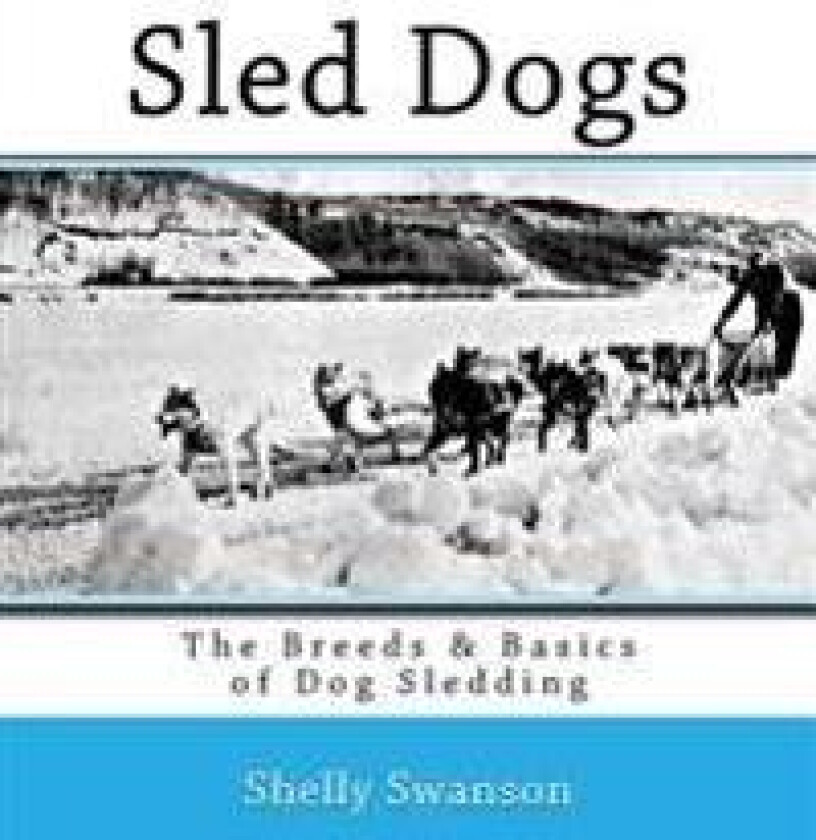 Sled Dogs: The Breeds & Basics of Dog Sledding