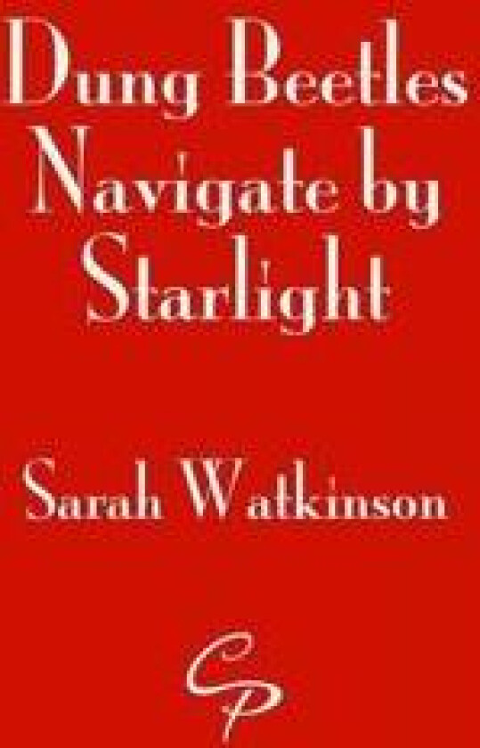 Dung Beetles Navigate by Starlight