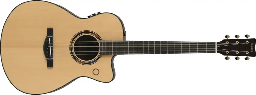 TAS3 C Natural TransAcoustic gitar