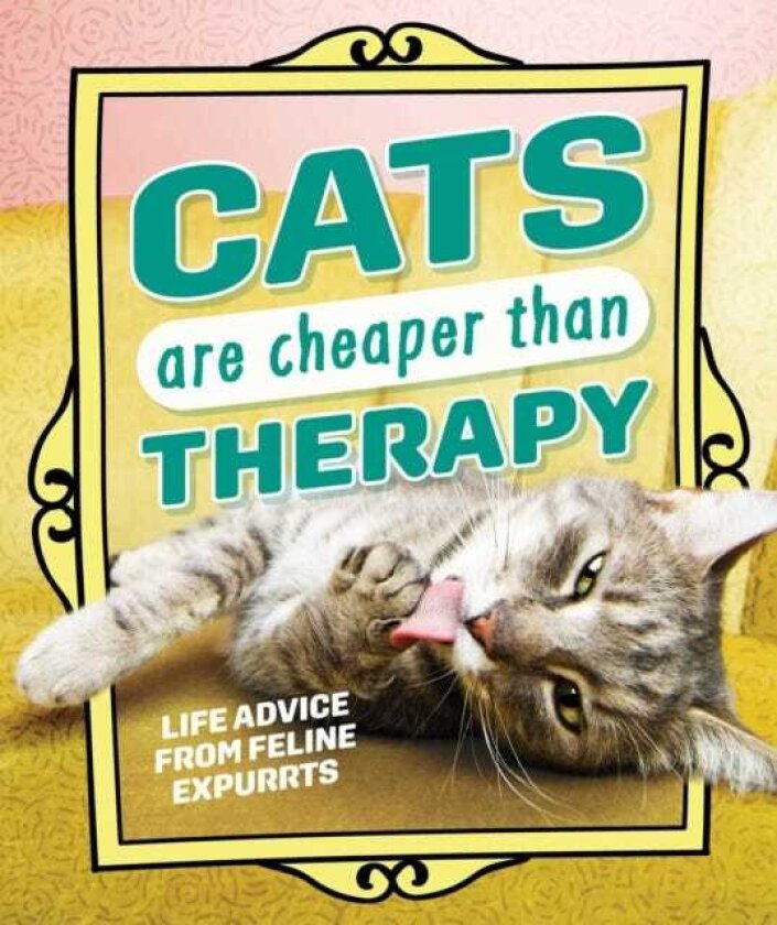Cats Are Cheaper than Therapy Life Advice from Feline Expurrts