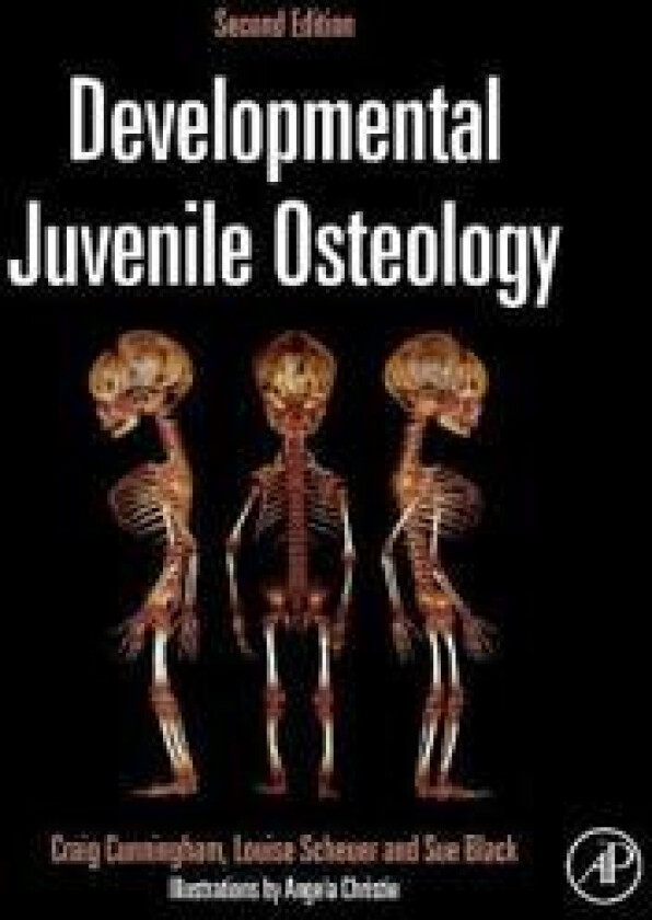 Developmental Juvenile Osteology