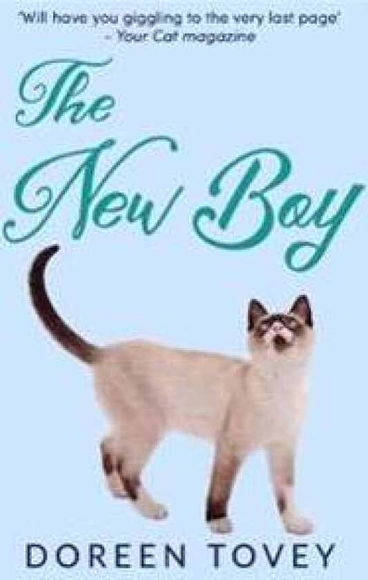 The New Boy