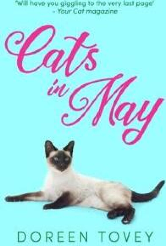 Cats in May