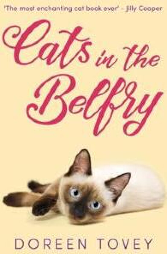 Cats in the Belfry