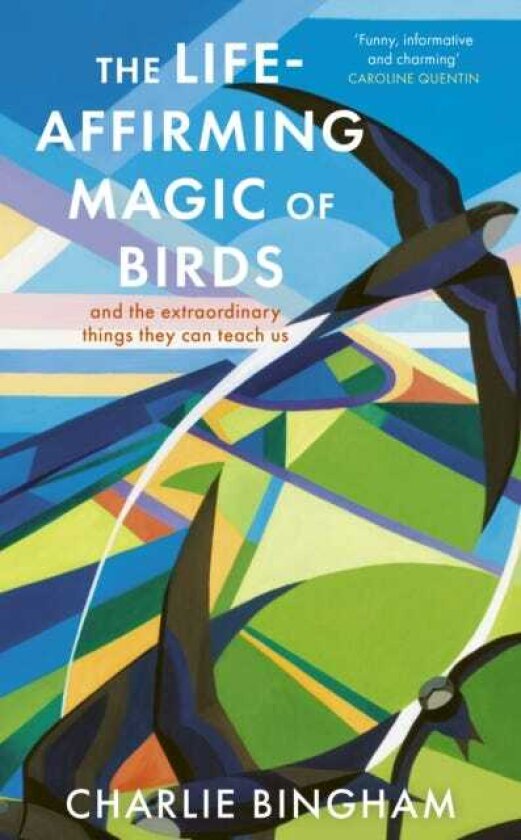 The LifeAffirming Magic of Birds and the extraordinary things they can teach us