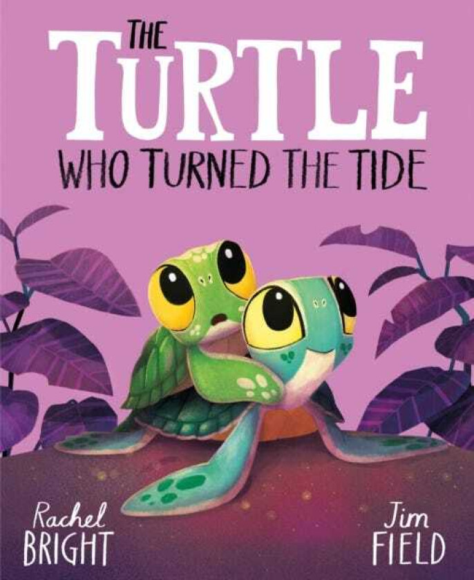 The Turtle Who Turned the Tide From The World of Rachel Bright & Jim Field