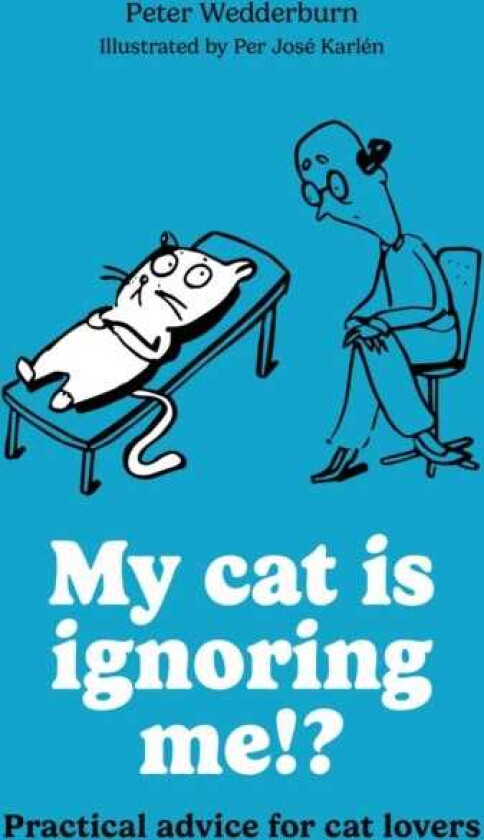 My cat is ignoring me!? Practical advice for cat lovers