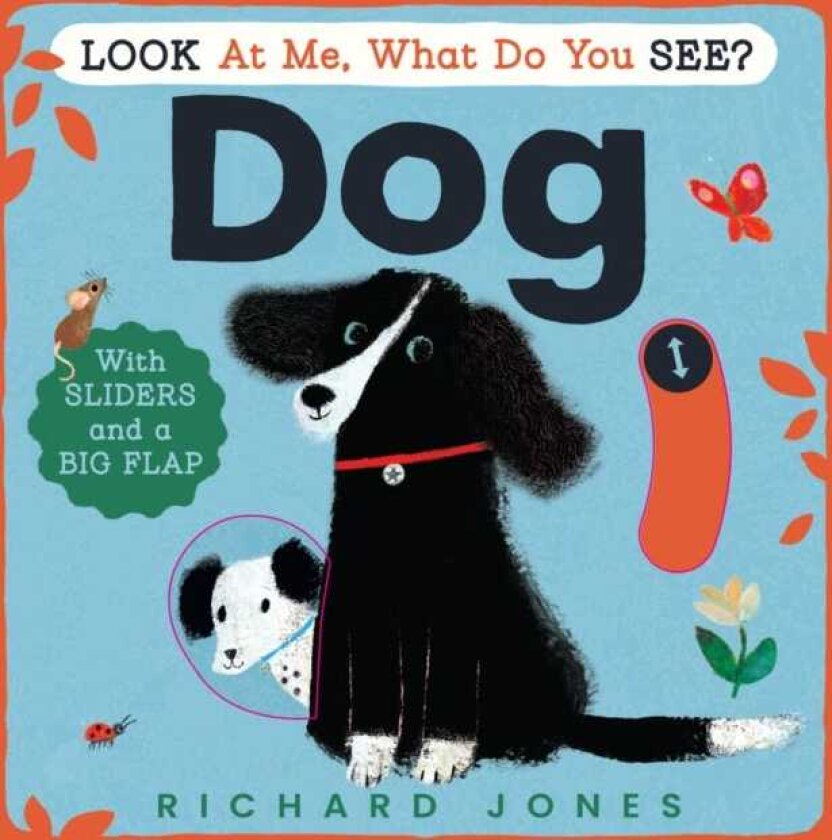 Look at Me, What Do You See? Dog