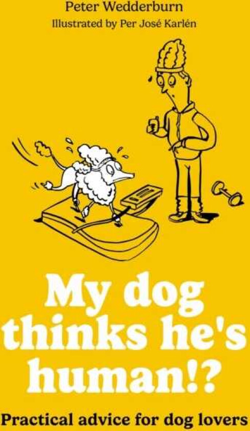 My dog thinks he's human!? Practical advice for dog lovers