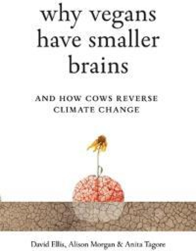 Why Vegans Have Smaller Brains