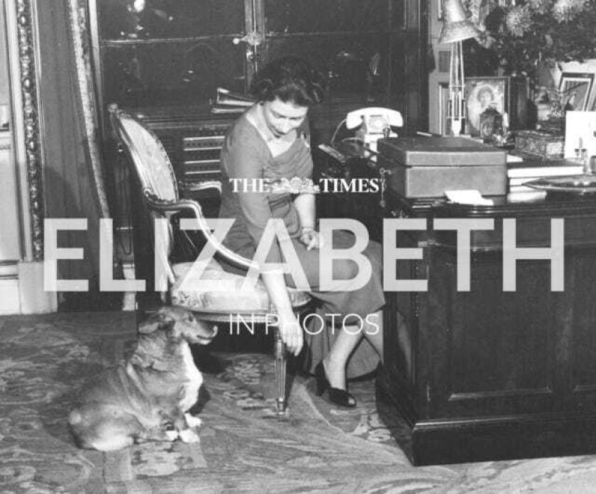 The Times Elizabeth in Photos