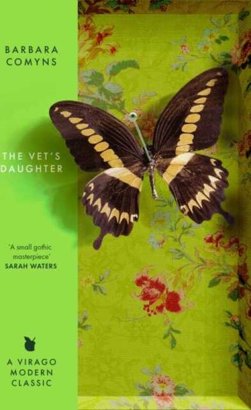 The Vet's Daughter A Virago Modern Classic