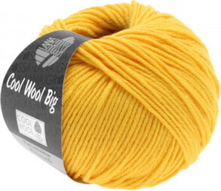 Cool Wool Big Garn 958