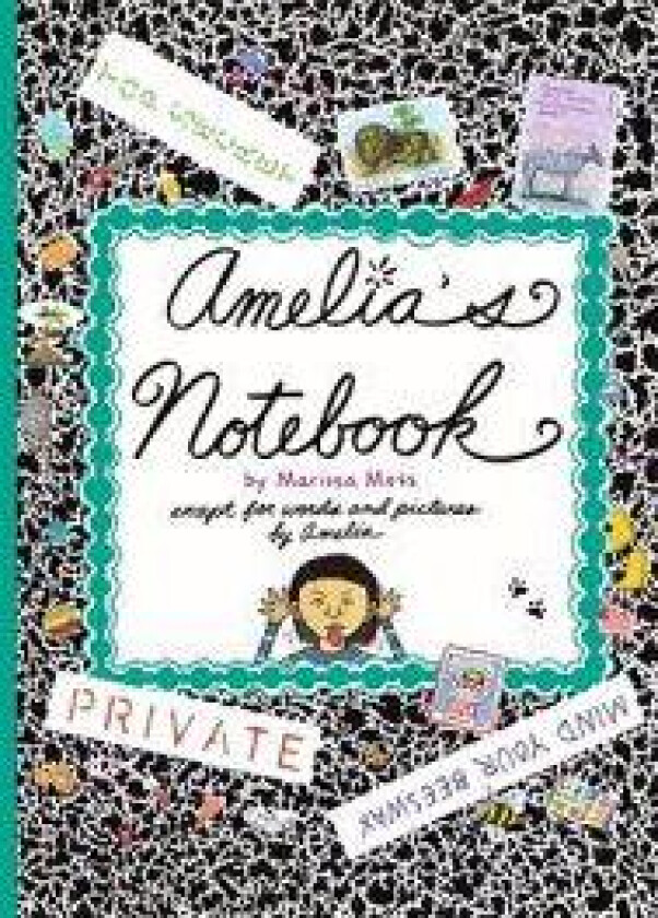 Amelia's Notebook