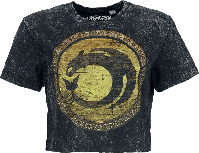 T-skjorte - Dragons - Circle Gold - L til 4XL - Damer - svart