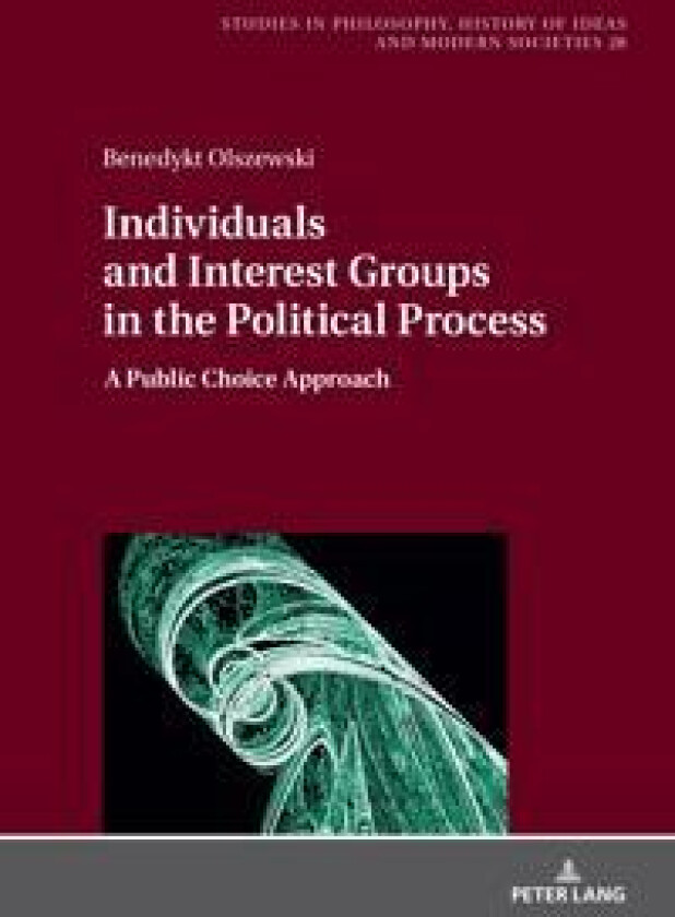 Individuals and Interest Groups in the Political Process