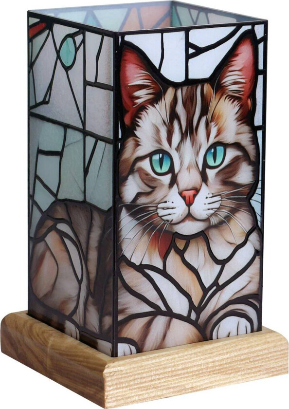 LED-bordlampe Art Light Katze, tresokkel, akryl, fargerik