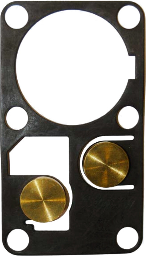 Top Valve Gasket (29090/120)