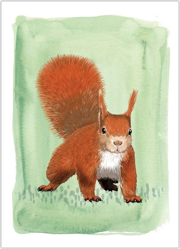 Gratulasjonskort Ekorn - Myrte