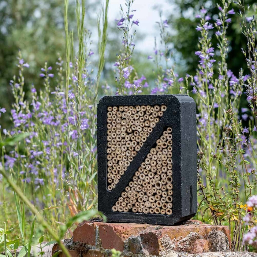 Insektshotell WoodStone ® "Salina ", svart