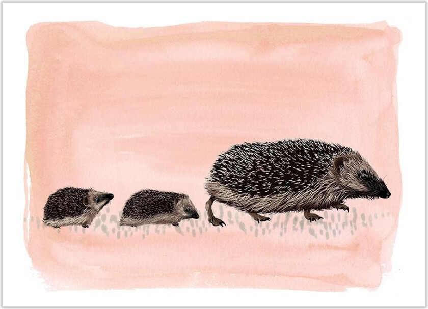 Gratulasjonskort Pinnsvinn - Myrte