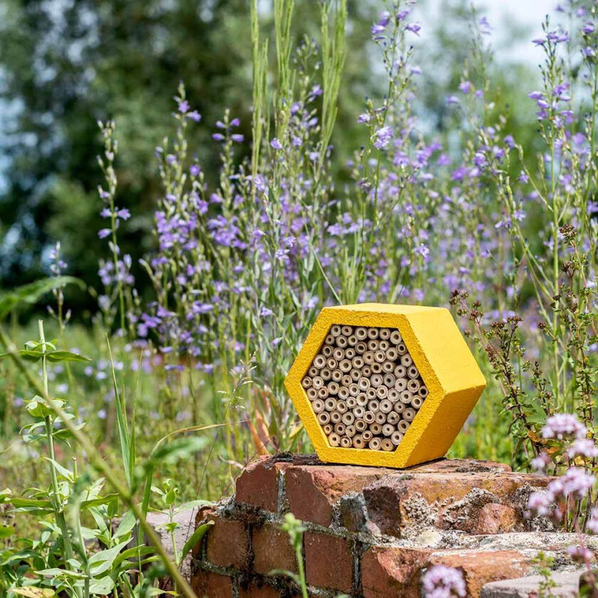 Bilde av Insekthotell WoodStone "Mathias", gul