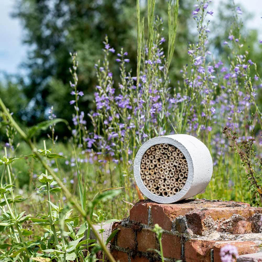 Insekthotell WoodStone "Isabela", lysegrå