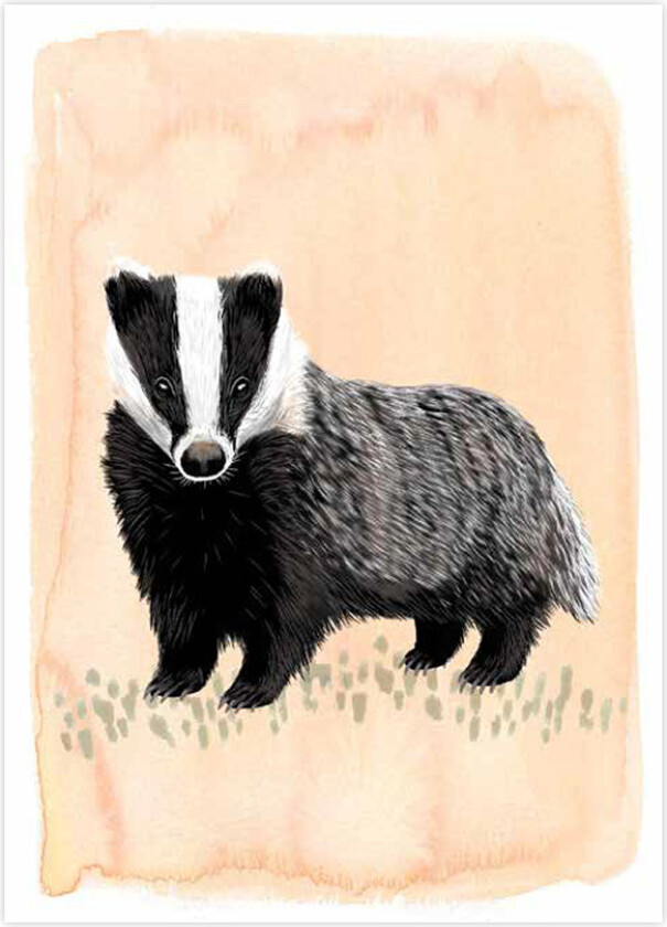 Gratulasjonskort Grevling - Myrte