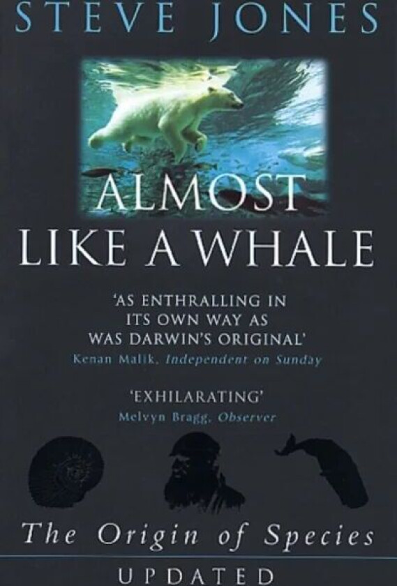 Almost Like A Whale av Steve Jones