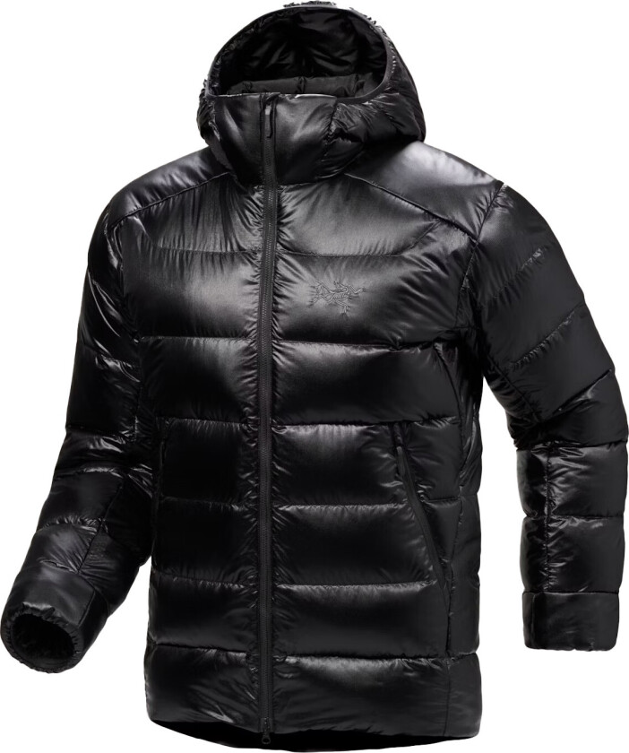 Arc'teryx Men's Cerium Sv Hoody Black