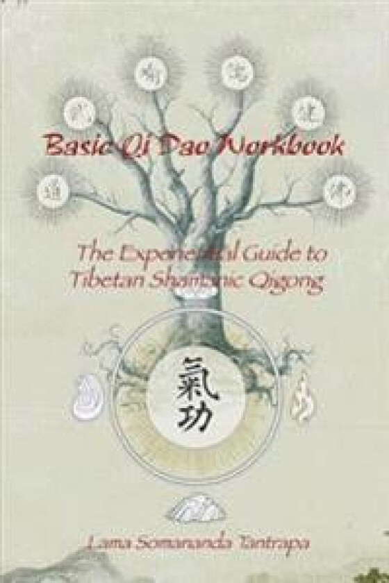 Basic Qi DAO Workbook: The Experiential Guide to Tibetan Shamanic Qigong