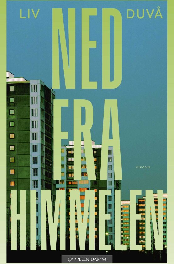 Ned fra himmelen