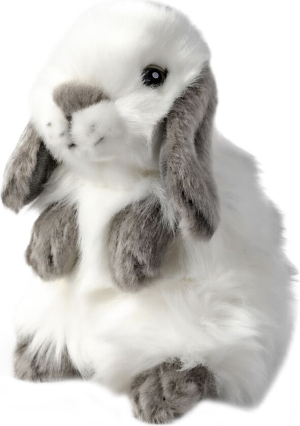 Kosedyr - 16x11 cm - Kanin m. Hengende ører - Hvit - - OneSize - Kosedyr