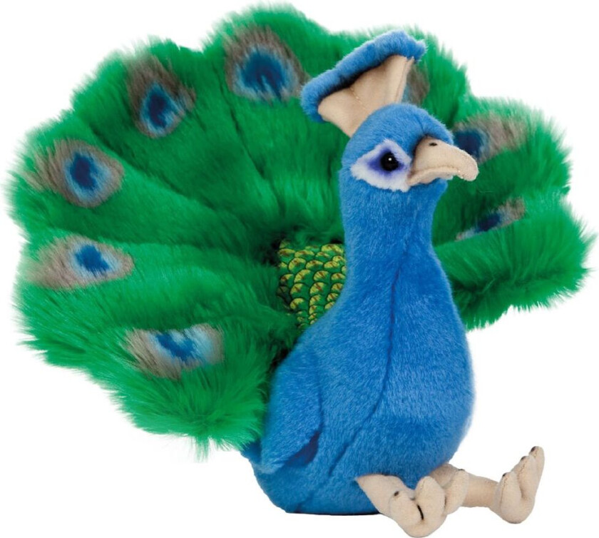 Kosedyr - 24x20 cm - Påfugl - Grønn/blå - - OneSize - Kosedyr